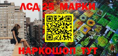 гидропоника Заволжье
