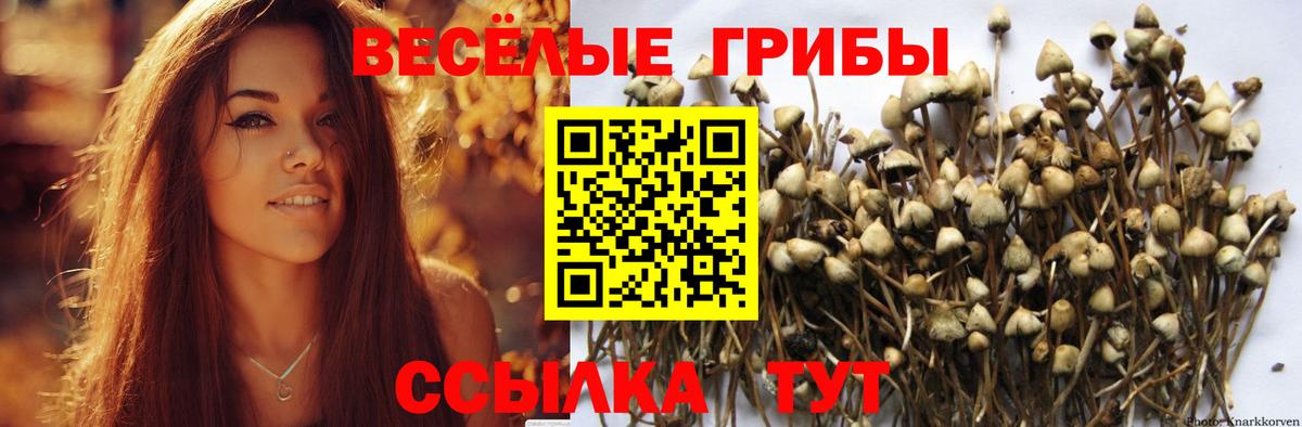 Псилоцибиновые грибы прущие грибы  Вход с VPN  где продают   Дюртюли 